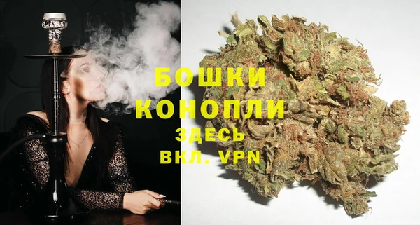 спайс Вязьма