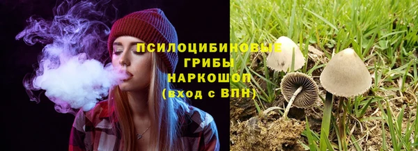 спайс Вязьма