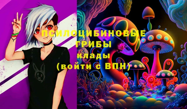 гидра Вязники