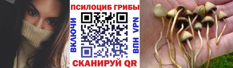 Купить где  Инсар  Псилоцибиновые грибы мухоморы 
