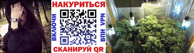 Купить  Инсар  Канабис планчик 